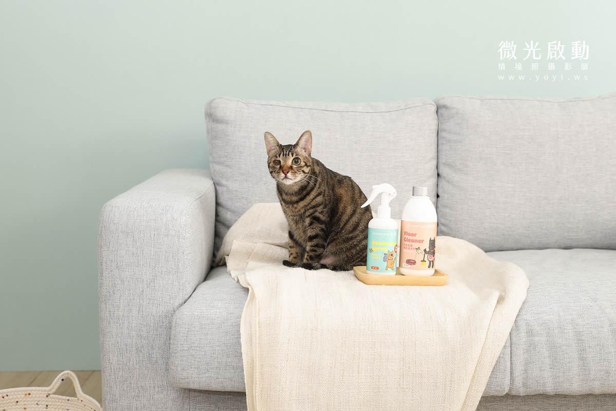 寵物清潔用品攝影｜沙威隆寵物洗劑與貓咪互動情境攝影｜沙威隆 129