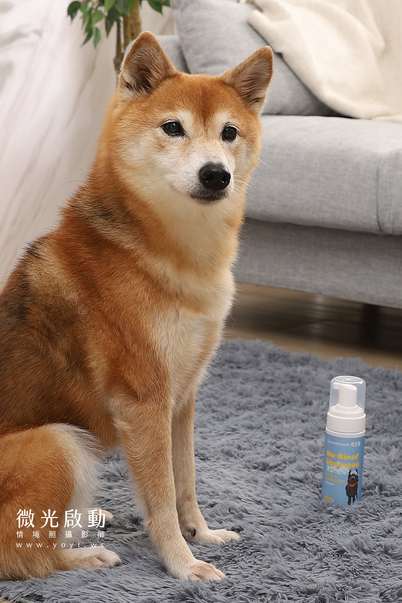 寵物清潔用品攝影｜沙威隆寵物洗劑與貓咪互動情境攝影｜沙威隆 139