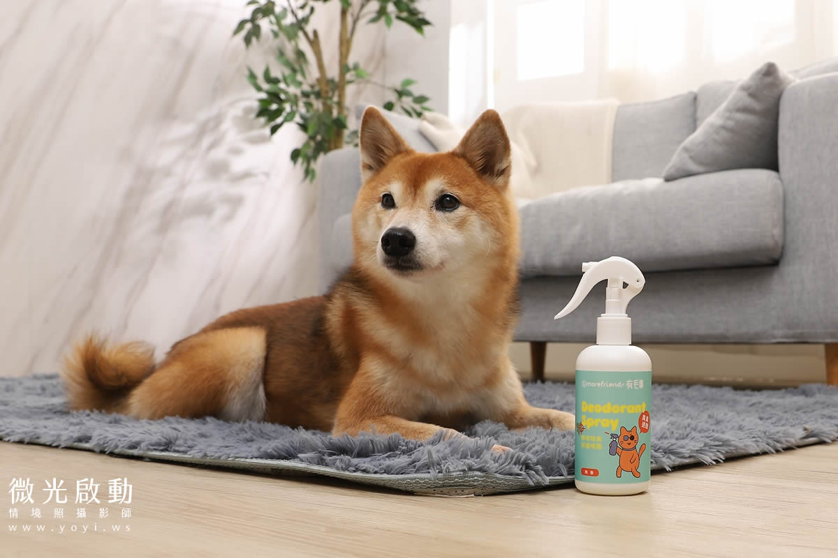 寵物清潔用品攝影｜沙威隆寵物洗劑與貓咪互動情境攝影｜沙威隆 141