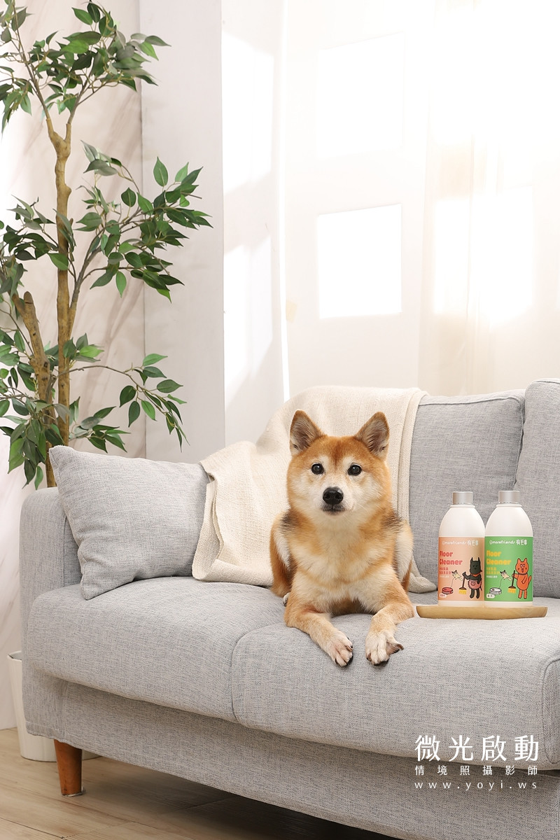 寵物清潔用品攝影｜沙威隆寵物洗劑與貓咪互動情境攝影｜沙威隆 149