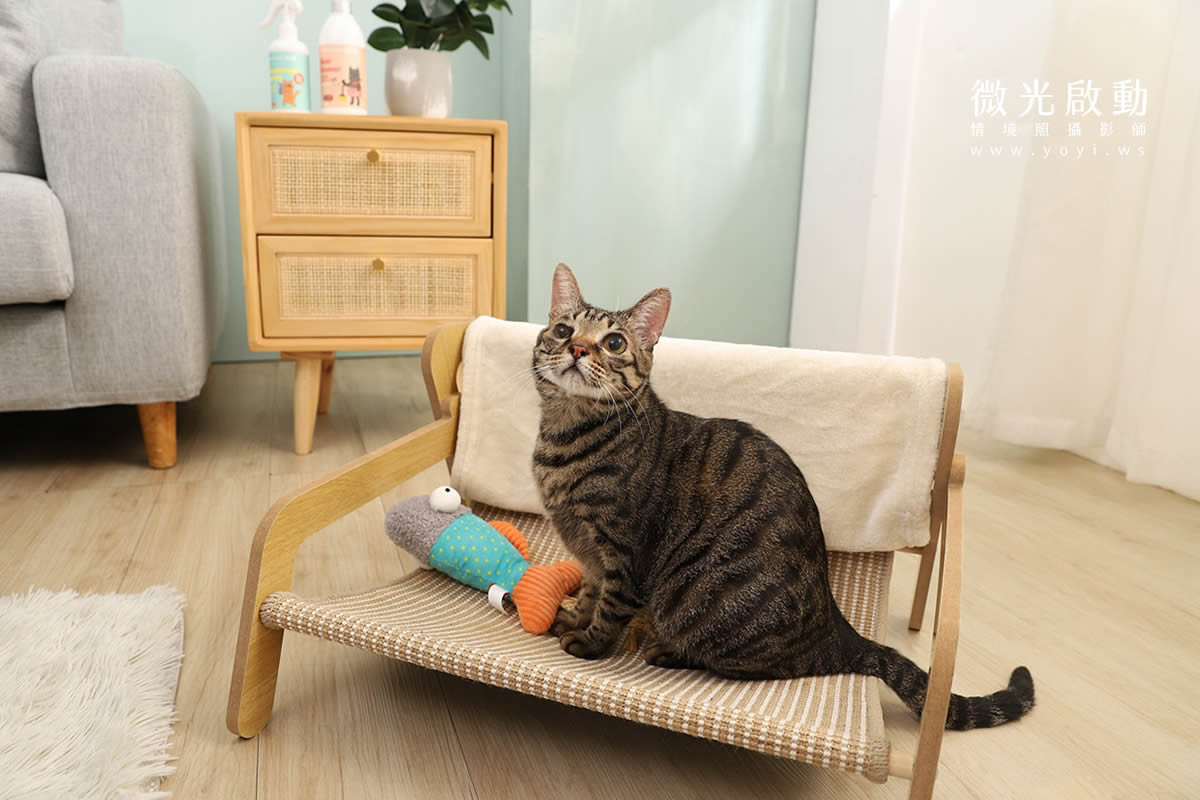 寵物清潔用品攝影｜沙威隆寵物洗劑與貓咪互動情境攝影｜沙威隆 153