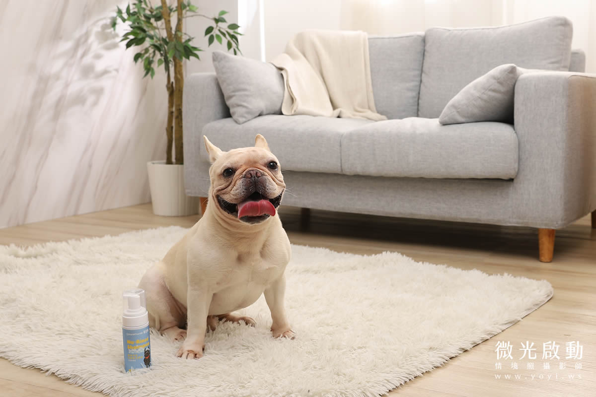 寵物清潔用品攝影｜沙威隆寵物洗劑與貓咪互動情境攝影｜沙威隆 157
