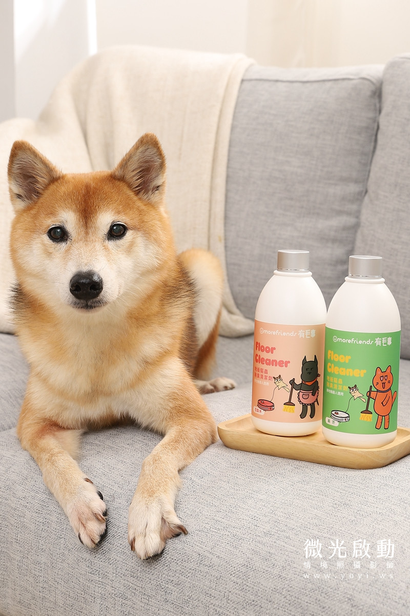 寵物清潔用品攝影｜沙威隆寵物洗劑與貓咪互動情境攝影｜沙威隆 161