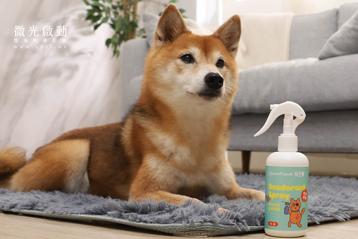 寵物清潔用品攝影｜沙威隆寵物洗劑與貓咪互動情境攝影｜沙威隆 177