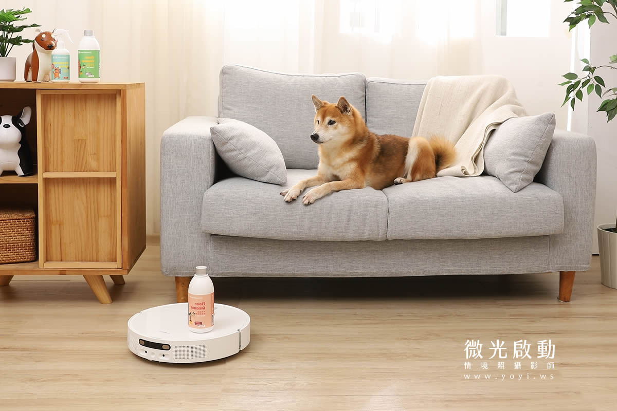 寵物清潔用品攝影｜沙威隆寵物洗劑與貓咪互動情境攝影｜沙威隆 179