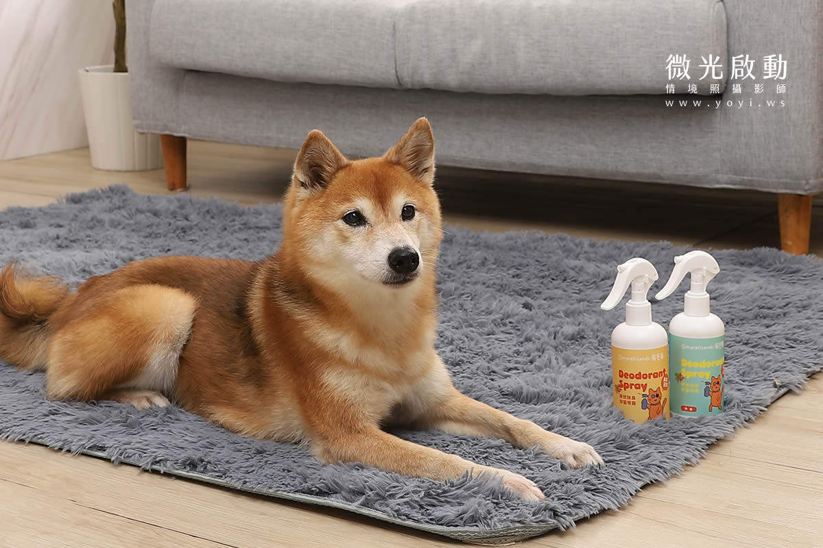寵物清潔用品攝影｜沙威隆寵物洗劑與貓咪互動情境攝影｜沙威隆 183