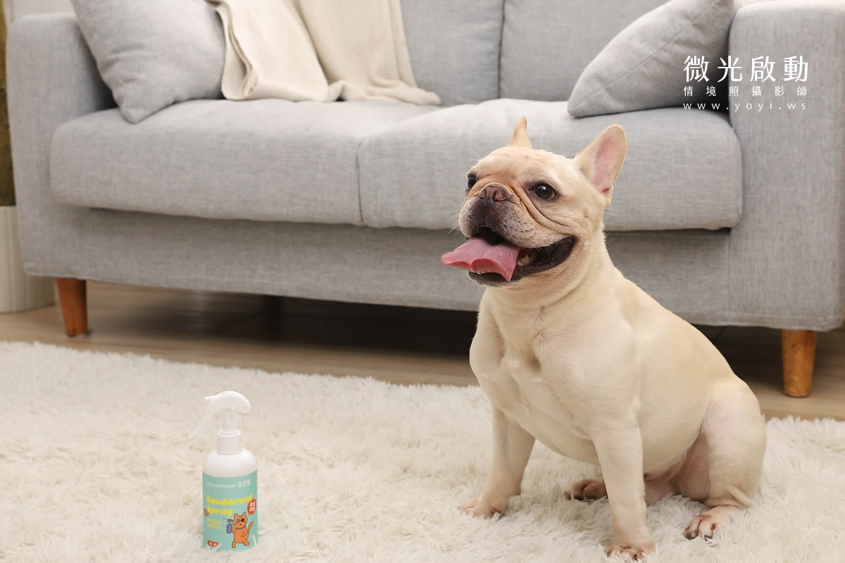 寵物清潔用品攝影｜沙威隆寵物洗劑與貓咪互動情境攝影｜沙威隆 187