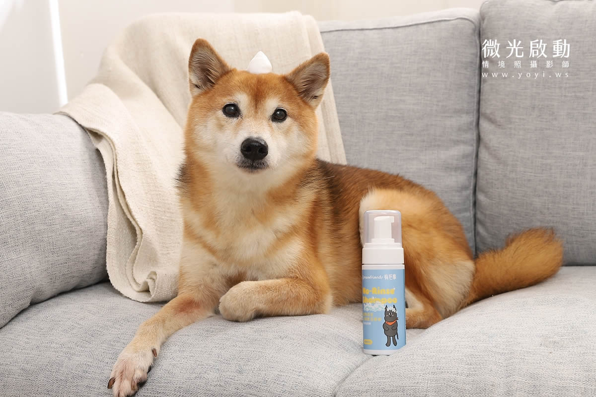寵物清潔用品攝影｜沙威隆寵物洗劑與貓咪互動情境攝影｜沙威隆 193