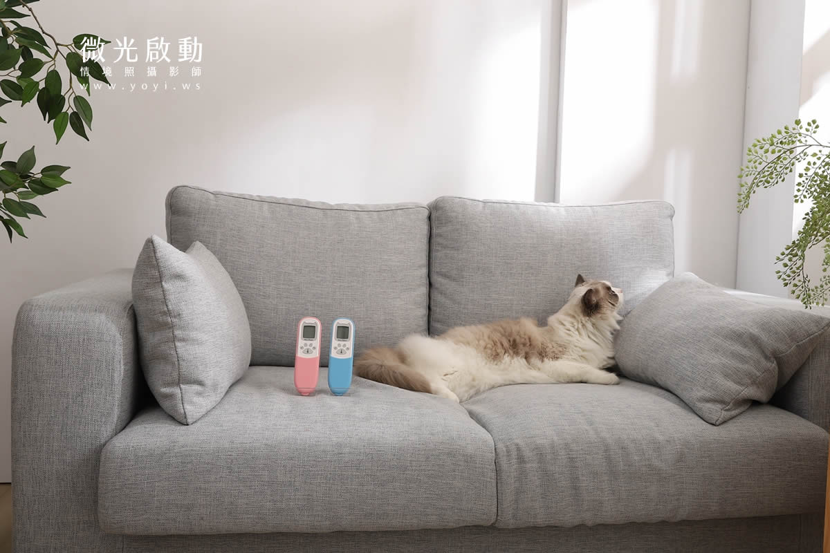 寵物用品攝影｜智能體溫按摩梳與貓咪互動情境攝影｜風全球股份有限公司 1