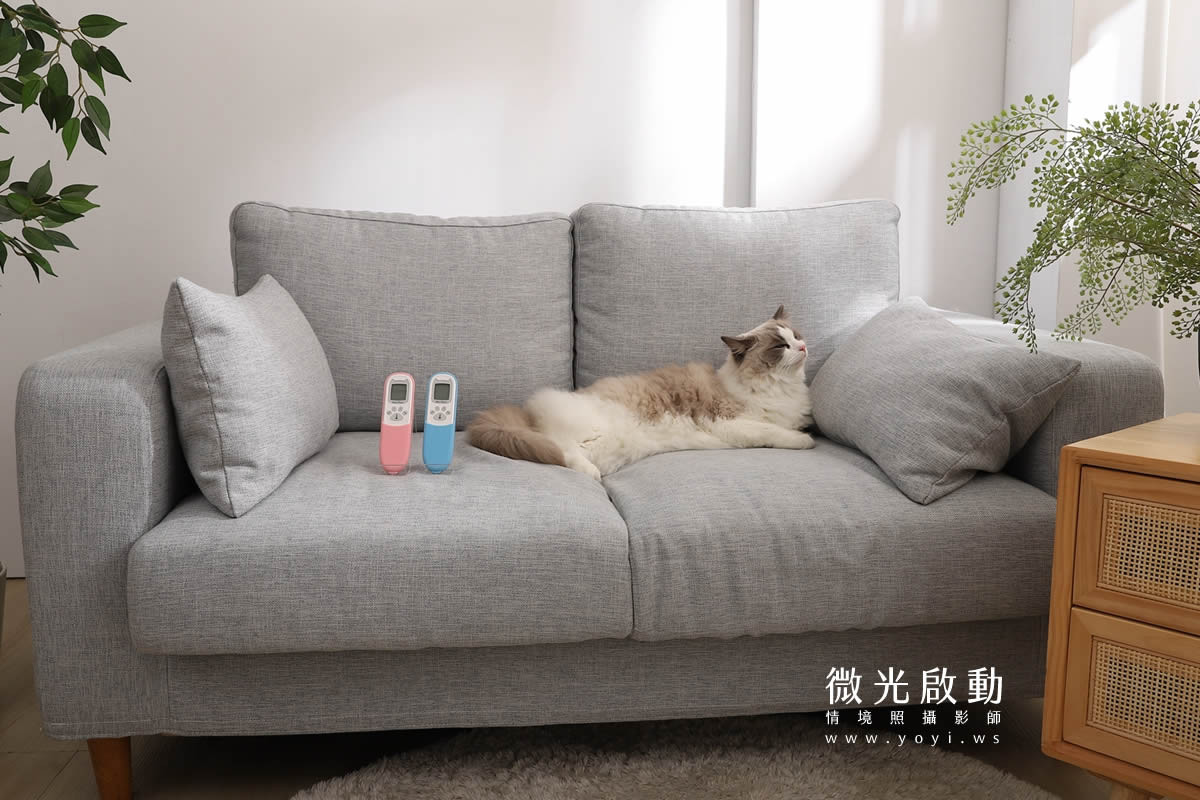 寵物用品攝影｜智能體溫按摩梳與貓咪互動情境攝影｜風全球股份有限公司 5