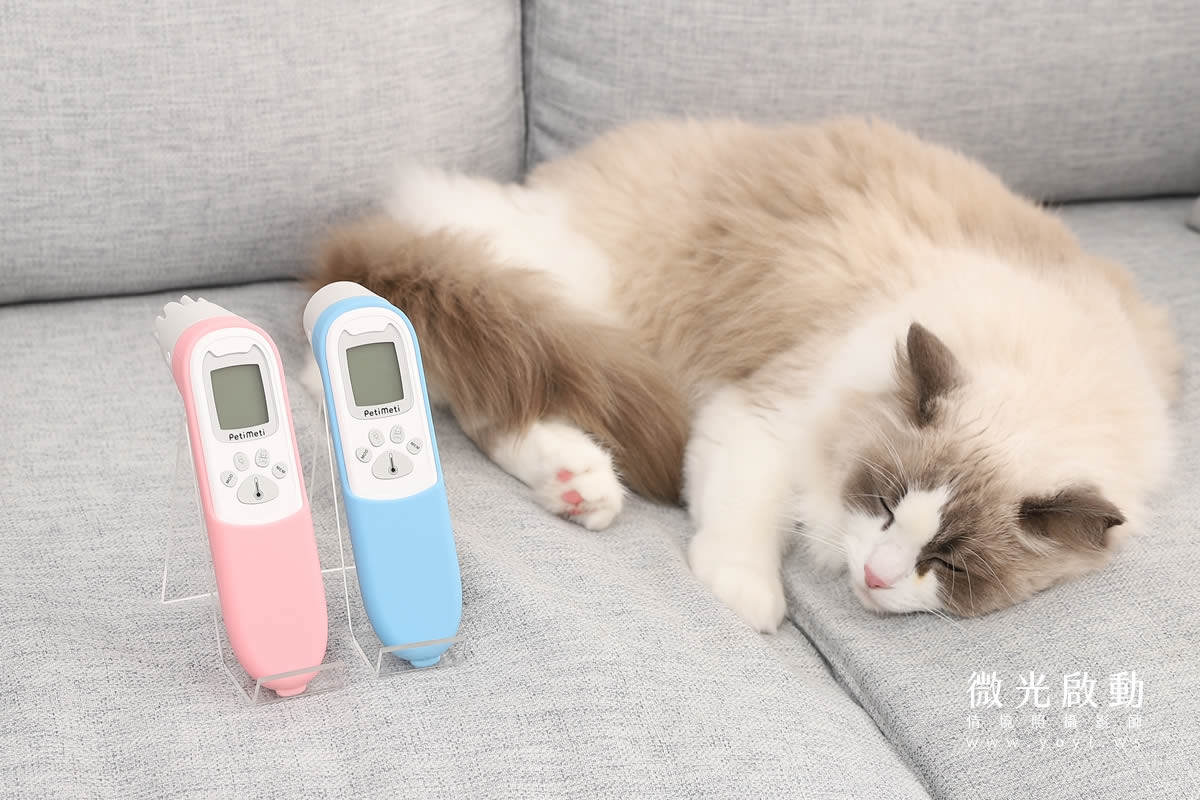 寵物用品攝影｜智能體溫按摩梳與貓咪互動情境攝影｜風全球股份有限公司 13