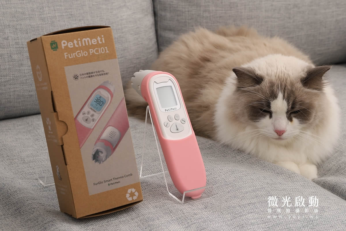 寵物用品攝影｜智能體溫按摩梳與貓咪互動情境攝影｜風全球股份有限公司 25
