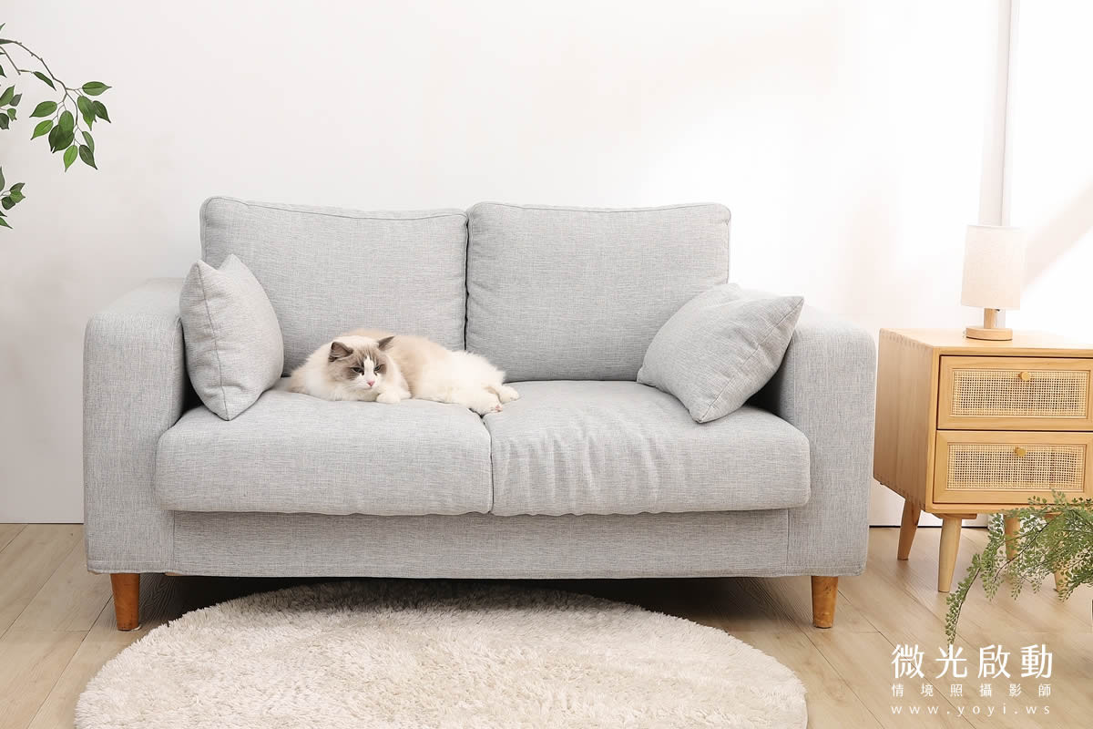 寵物用品攝影｜智能體溫按摩梳與貓咪互動情境攝影｜風全球股份有限公司 27