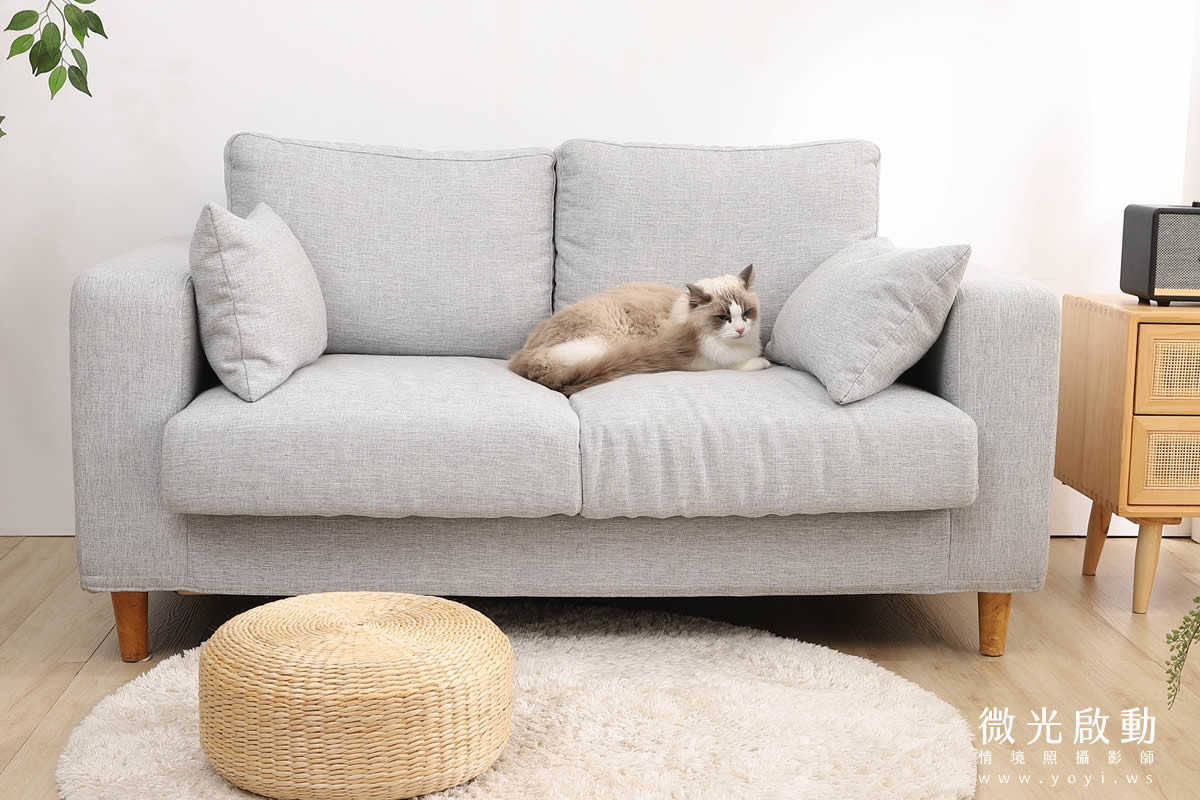 寵物用品攝影｜智能體溫按摩梳與貓咪互動情境攝影｜風全球股份有限公司 33