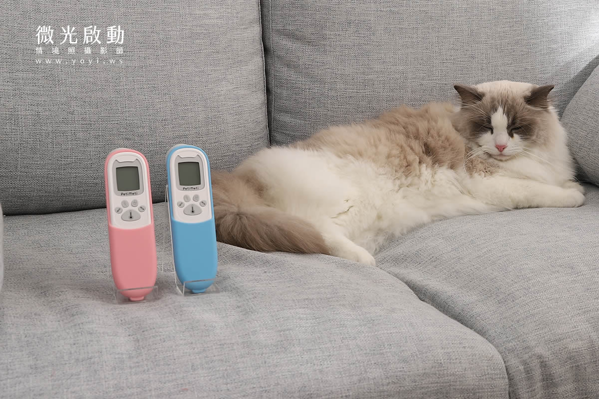 寵物用品攝影｜智能體溫按摩梳與貓咪互動情境攝影｜風全球股份有限公司 35