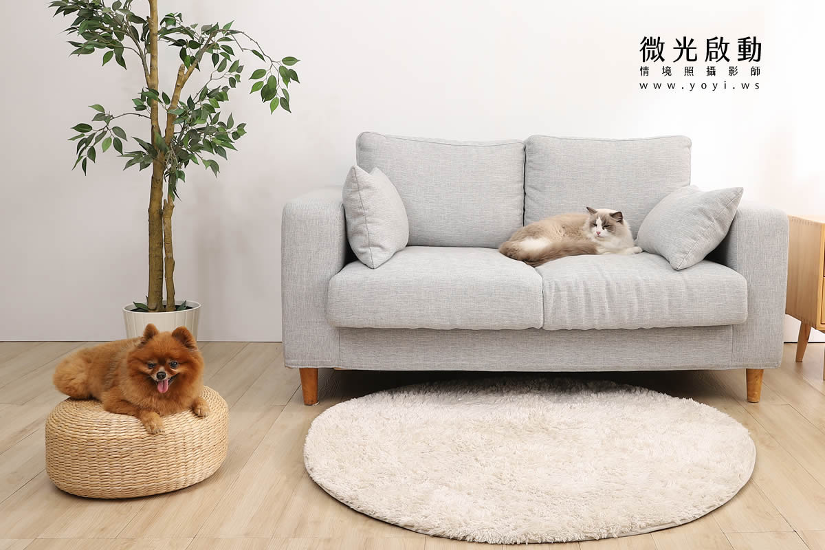 寵物用品攝影｜智能體溫按摩梳與貓咪互動情境攝影｜風全球股份有限公司 37