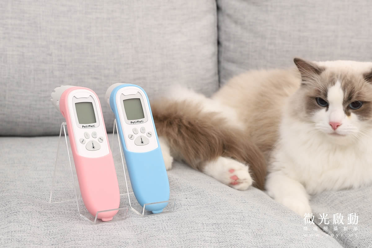 寵物用品攝影｜智能體溫按摩梳與貓咪互動情境攝影｜風全球股份有限公司 43