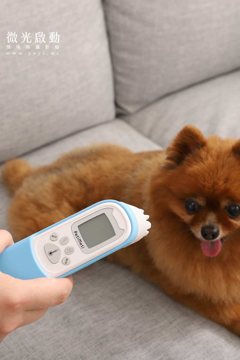 寵物用品攝影｜智能體溫按摩梳與貓咪互動情境攝影｜風全球股份有限公司 45