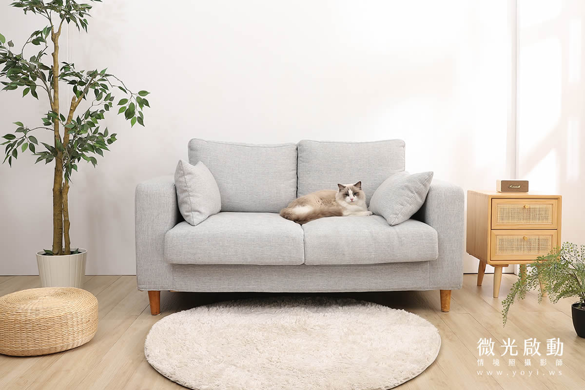 寵物用品攝影｜智能體溫按摩梳與貓咪互動情境攝影｜風全球股份有限公司 51