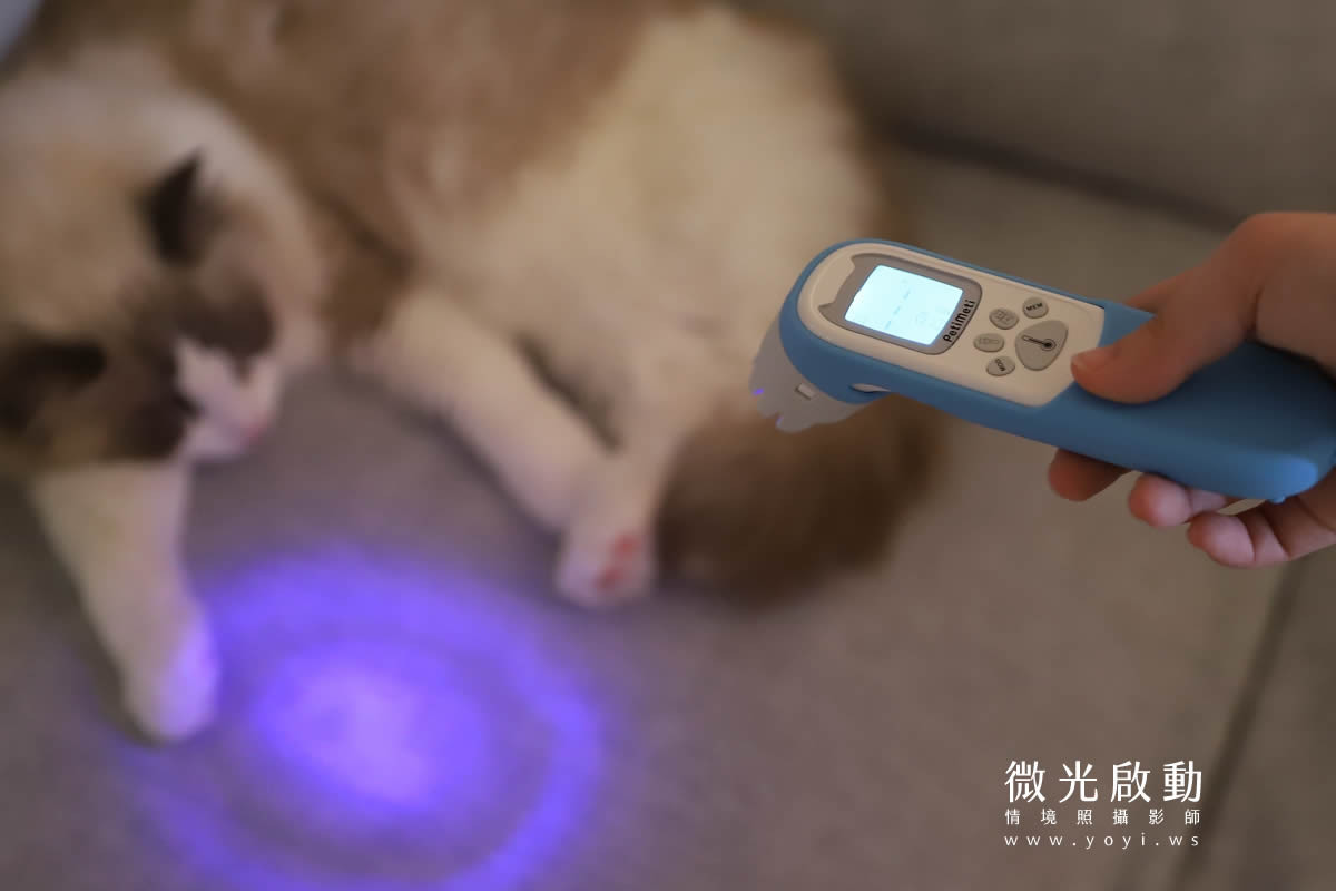 寵物用品攝影｜智能體溫按摩梳與貓咪互動情境攝影｜風全球股份有限公司 53