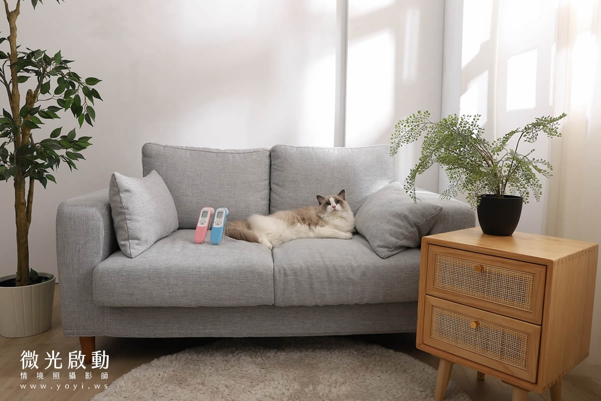 寵物用品攝影｜智能體溫按摩梳與貓咪互動情境攝影｜風全球股份有限公司 61