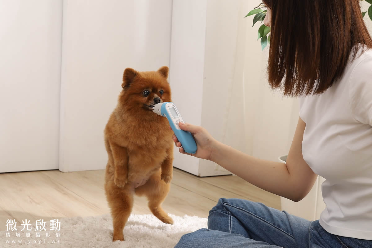 寵物用品攝影｜智能體溫按摩梳與貓咪互動情境攝影｜風全球股份有限公司 65