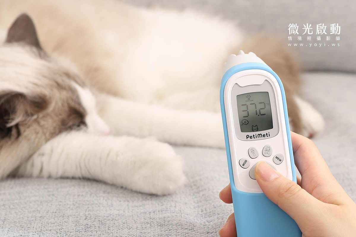 寵物用品攝影｜智能體溫按摩梳與貓咪互動情境攝影｜風全球股份有限公司 69