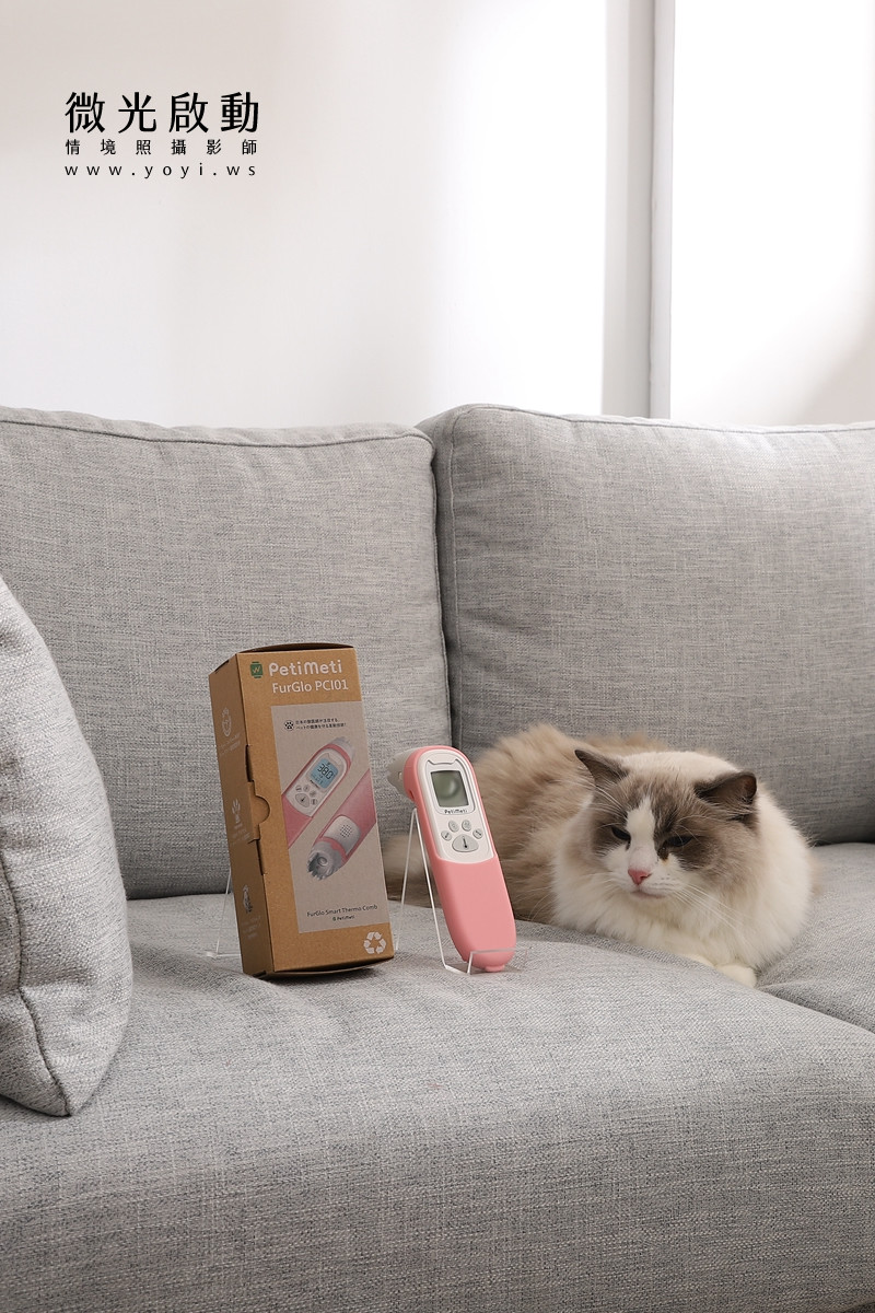 寵物用品攝影｜智能體溫按摩梳與貓咪互動情境攝影｜風全球股份有限公司 73