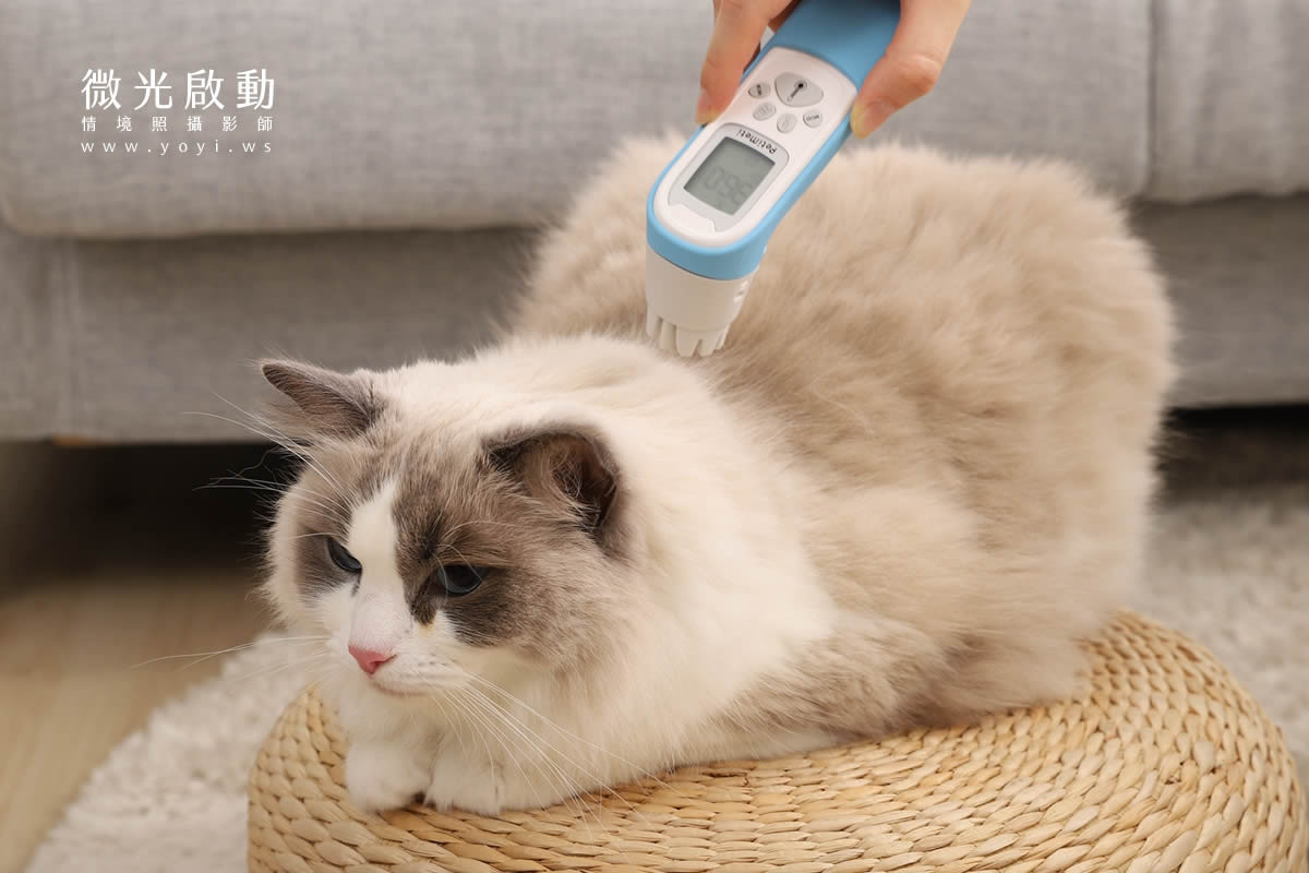 寵物用品攝影｜智能體溫按摩梳與貓咪互動情境攝影｜風全球股份有限公司 75