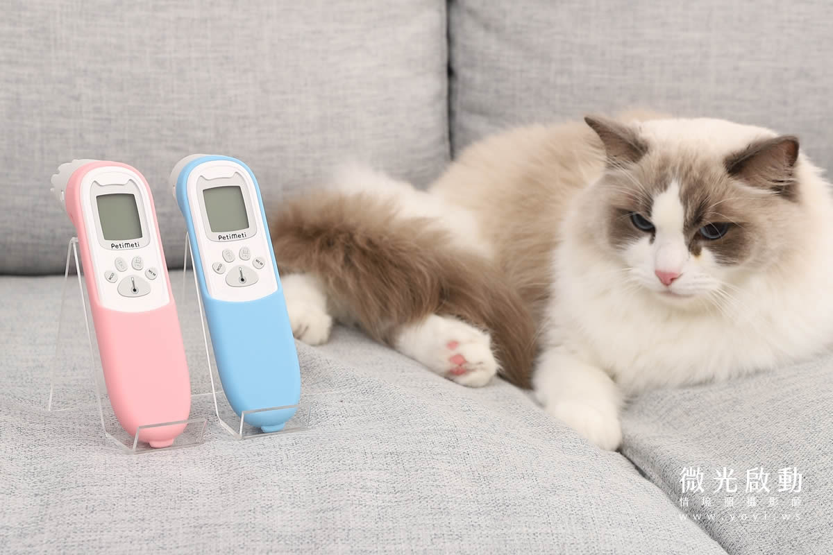 寵物用品攝影｜智能體溫按摩梳與貓咪互動情境攝影｜風全球股份有限公司 79