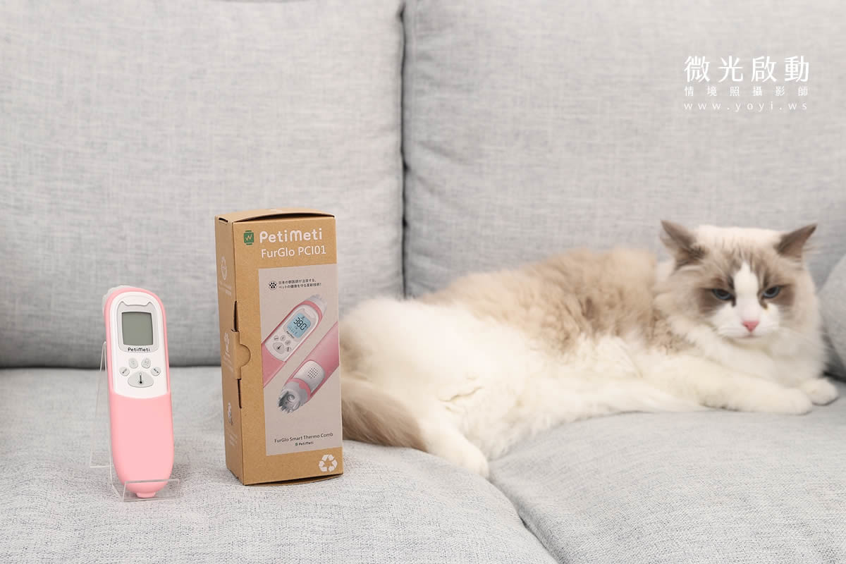 寵物用品攝影｜智能體溫按摩梳與貓咪互動情境攝影｜風全球股份有限公司 101