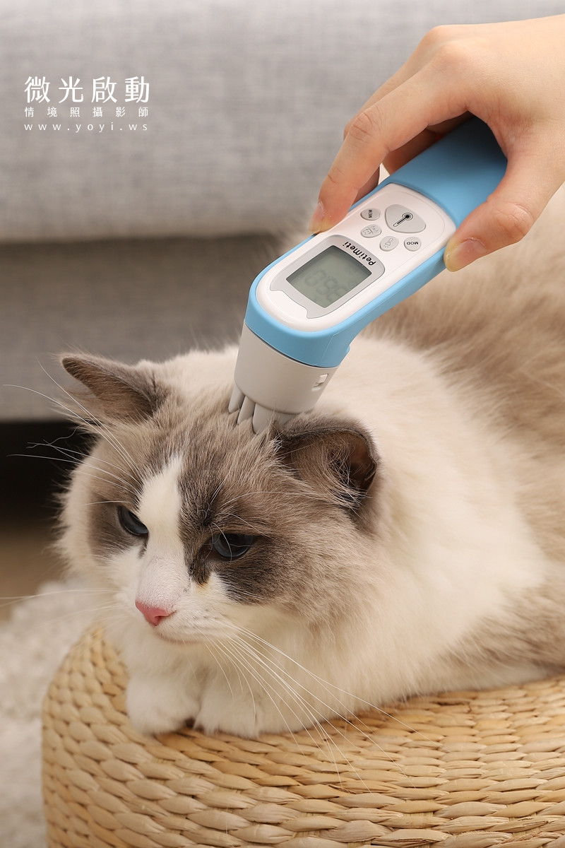 寵物用品攝影｜智能體溫按摩梳與貓咪互動情境攝影｜風全球股份有限公司 103