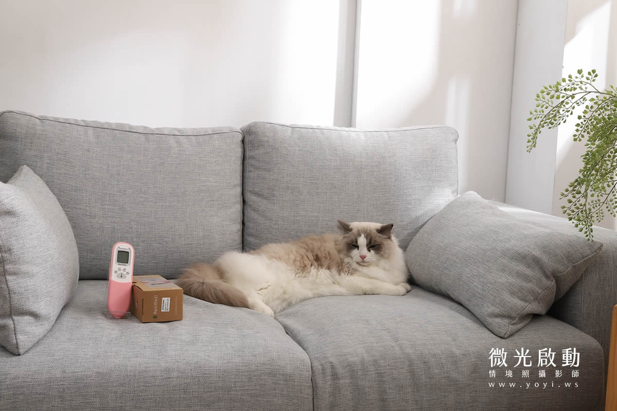 寵物用品攝影｜智能體溫按摩梳與貓咪互動情境攝影｜風全球股份有限公司 105