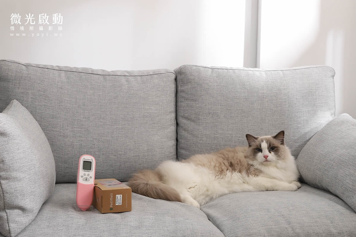 寵物用品攝影｜智能體溫按摩梳與貓咪互動情境攝影｜風全球股份有限公司 109