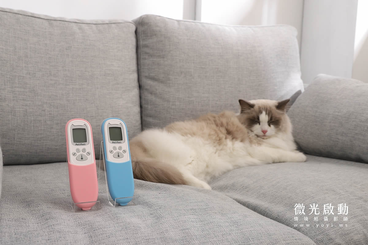 寵物用品攝影｜智能體溫按摩梳與貓咪互動情境攝影｜風全球股份有限公司 113