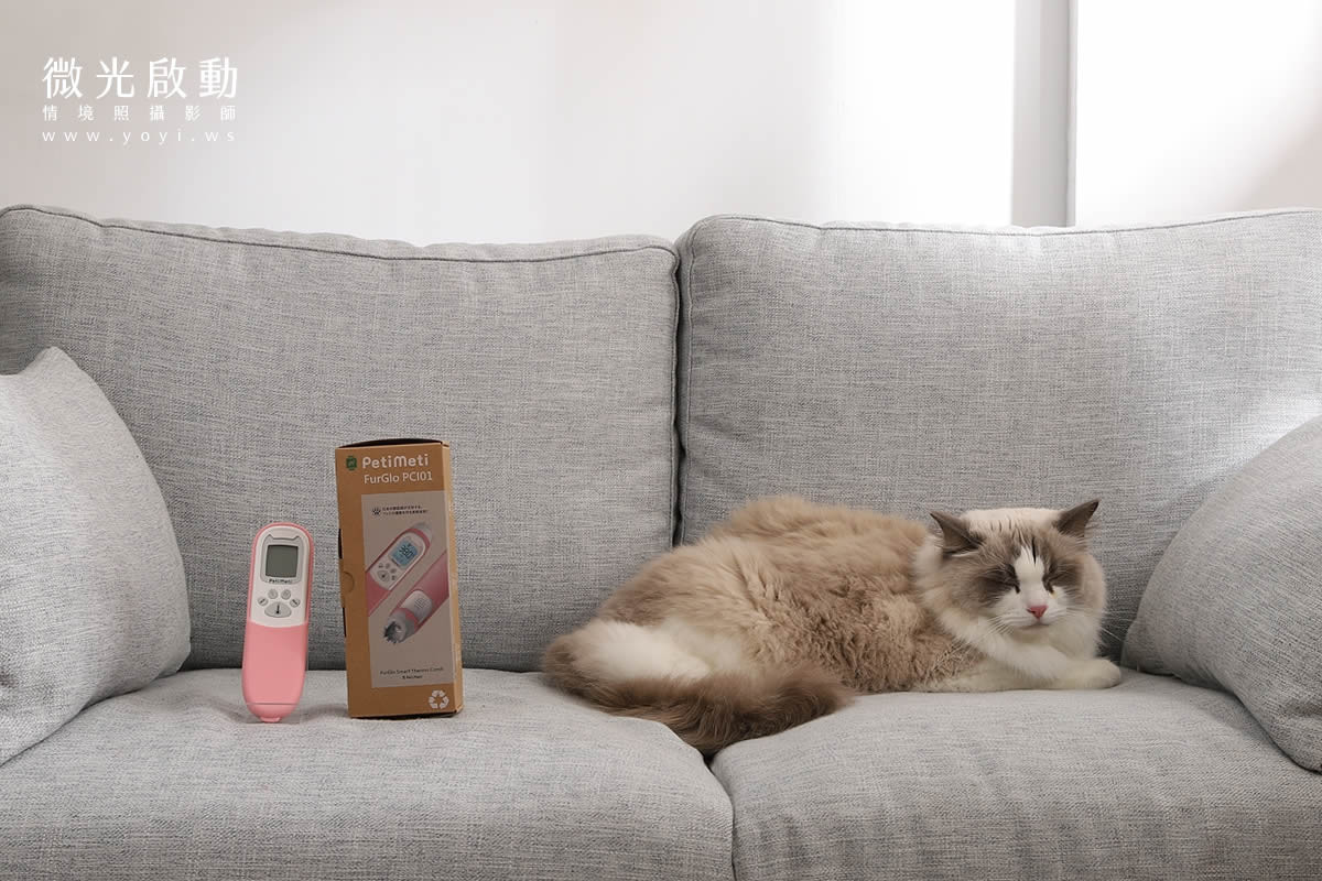 寵物用品攝影｜智能體溫按摩梳與貓咪互動情境攝影｜風全球股份有限公司 119
