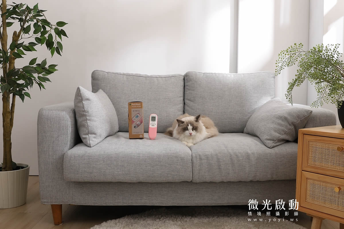 寵物用品攝影｜智能體溫按摩梳與貓咪互動情境攝影｜風全球股份有限公司 121