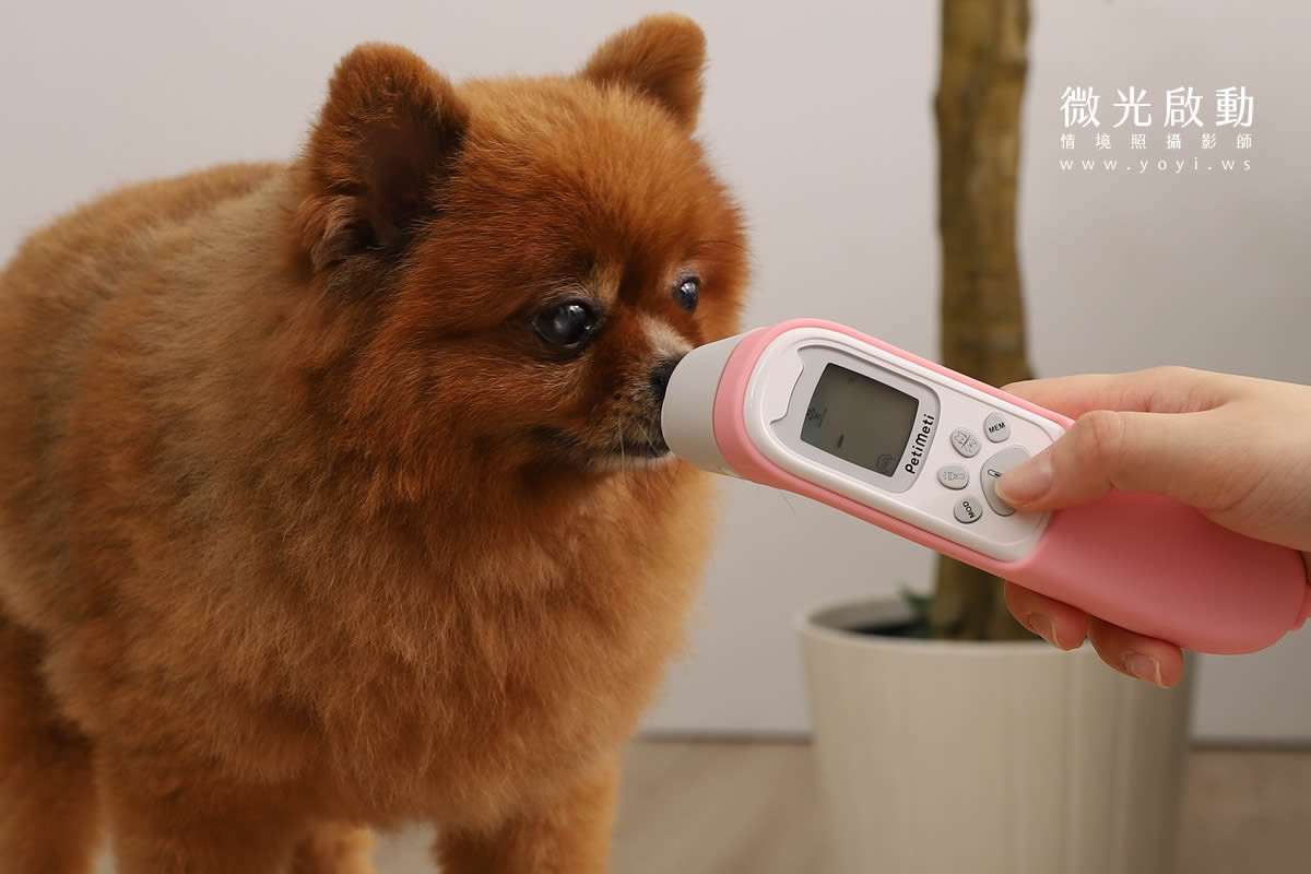 寵物用品攝影｜智能體溫按摩梳與貓咪互動情境攝影｜風全球股份有限公司 125