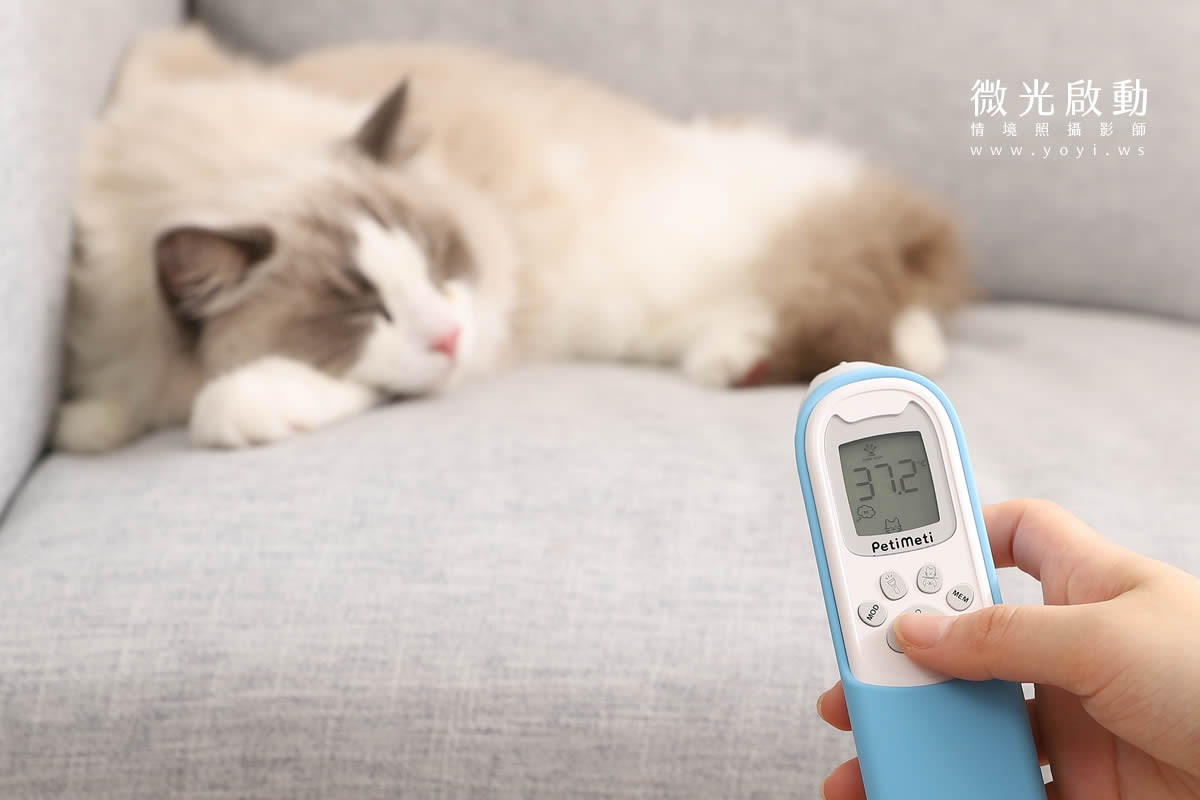 寵物用品攝影｜智能體溫按摩梳與貓咪互動情境攝影｜風全球股份有限公司 139