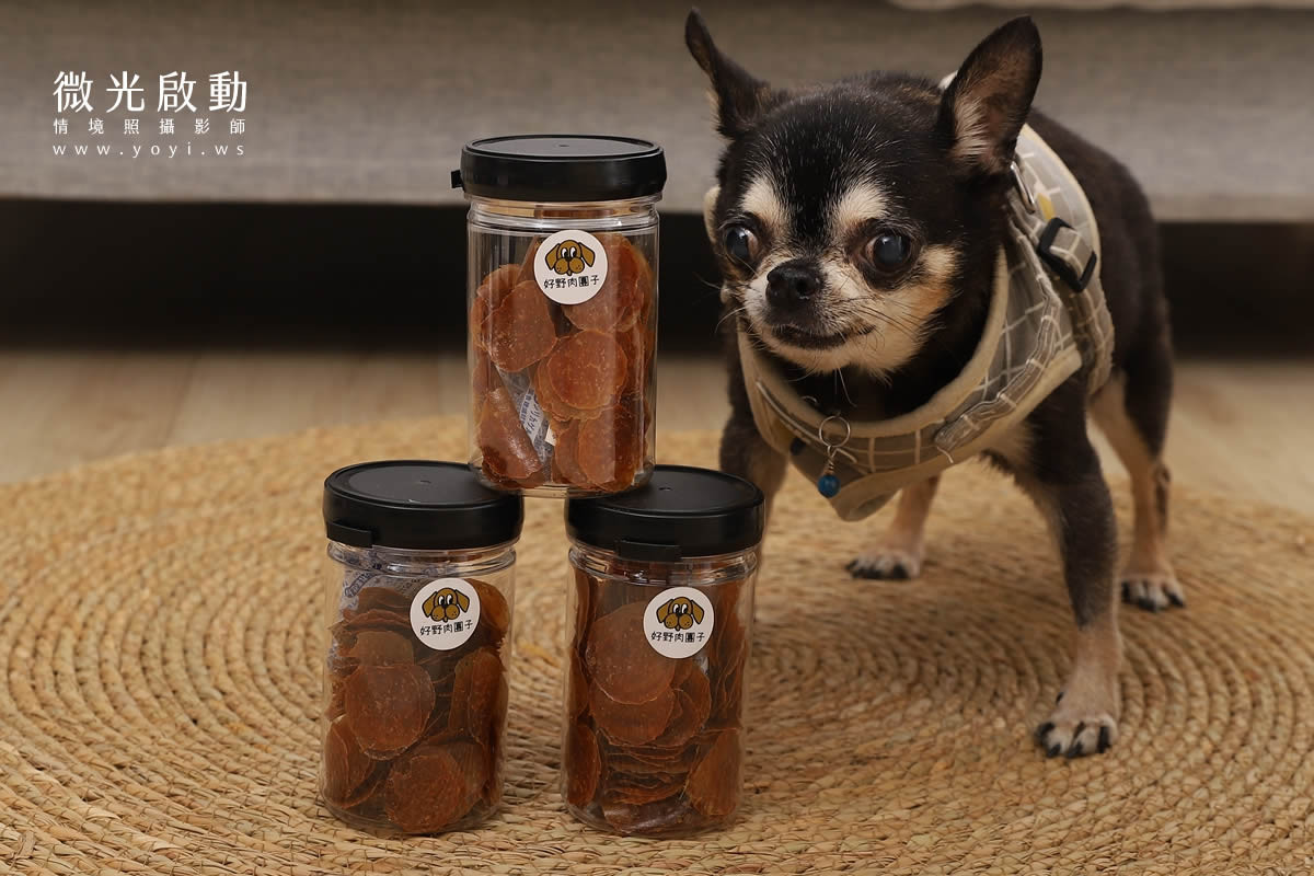 一隻黑白吉娃娃站在三罐透明罐裝寵物零食旁，零食是圓形的肉片狀，狗狗好奇地看著鏡頭。