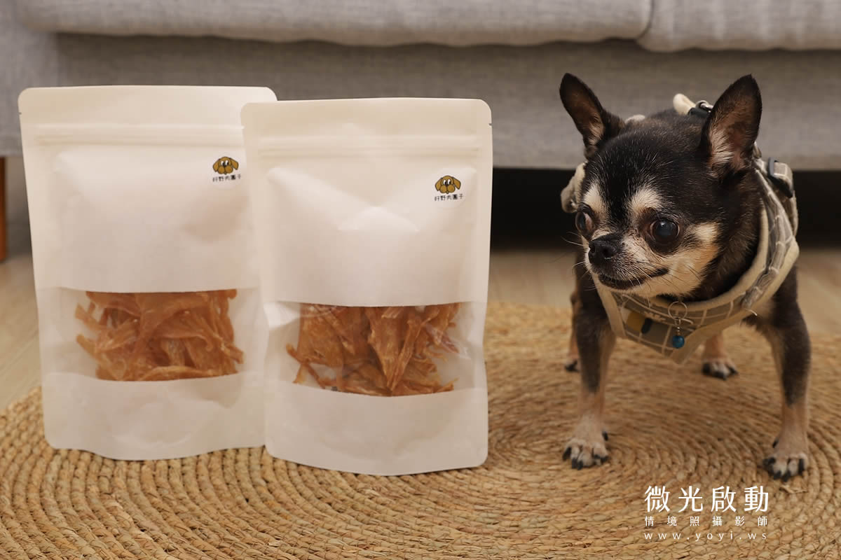 專業寵物攝影服務，黑白貴賓狗在戶外草地上的生活照，背景是美麗的風景。