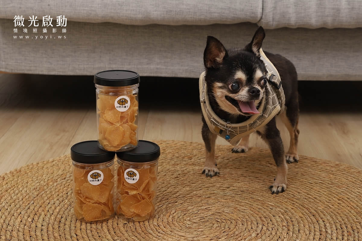 寵物食品攝影作品，捕捉貴賓狗與主人在戶外玩樂的歡樂瞬間，展現產品與寵物的連結。