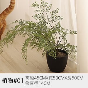 植物道具 01