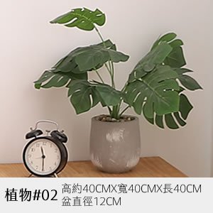 植物道具 02