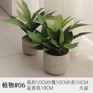 植物道具 06