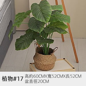 植物道具 17