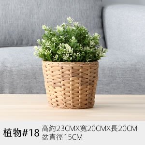植物道具 18