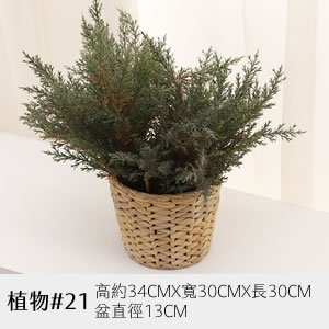 植物道具 21