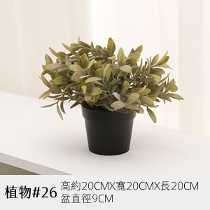 植物道具 26