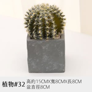 植物道具 32